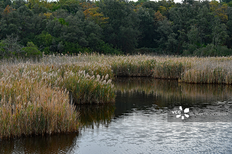 科内罗 - 波尔托诺沃 - 格兰德湖 2图片素材