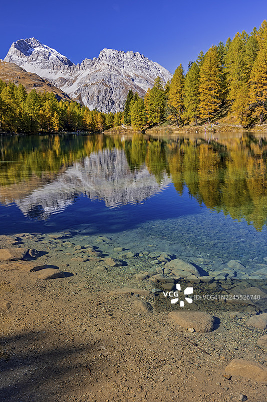 山间湖泊，倒影，山峦，落叶松林，秋季色彩，秋日，阳光明媚，帕尔普奥尼亚湖，恩加丁，瑞士图片素材