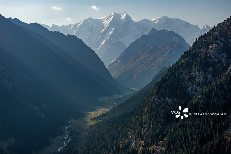 吉提-奥格兹附近的群山峡谷，吉尔吉斯斯坦——柔和的晨光下，阿尔卑斯山地貌，白雪皑皑的山峰和松树林。图片素材