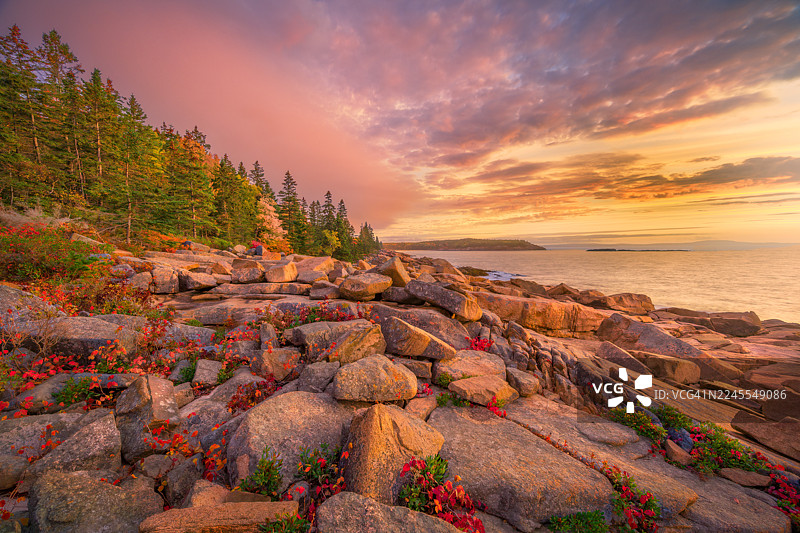 日出时分的缅因海岸图片素材