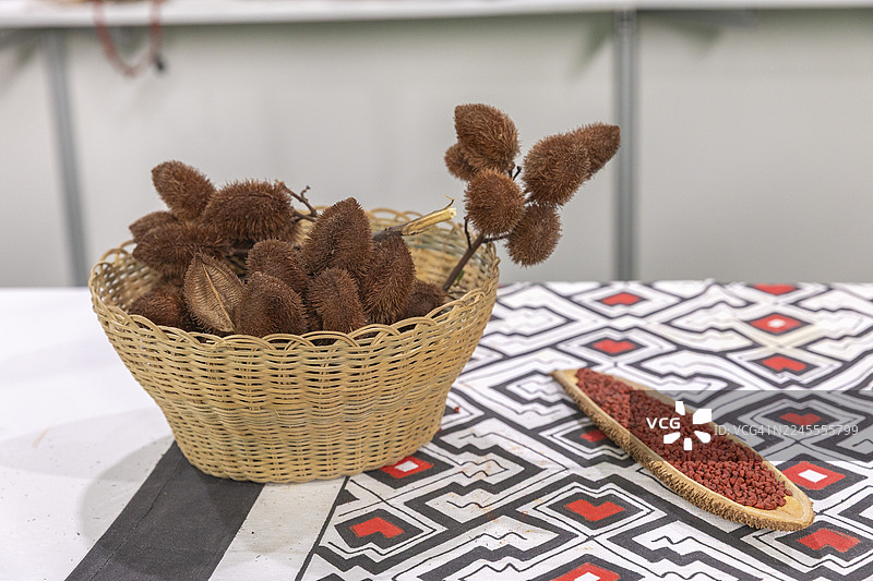 红木(在菲律宾被称为 achuete,国际上称为 annatto 或 onoto)是一种天然的黄红色色素,提取自 Bixa orellana 的种子。这种灌木原产于热带美洲,广泛应用于食品和化妆品行业。图片素材