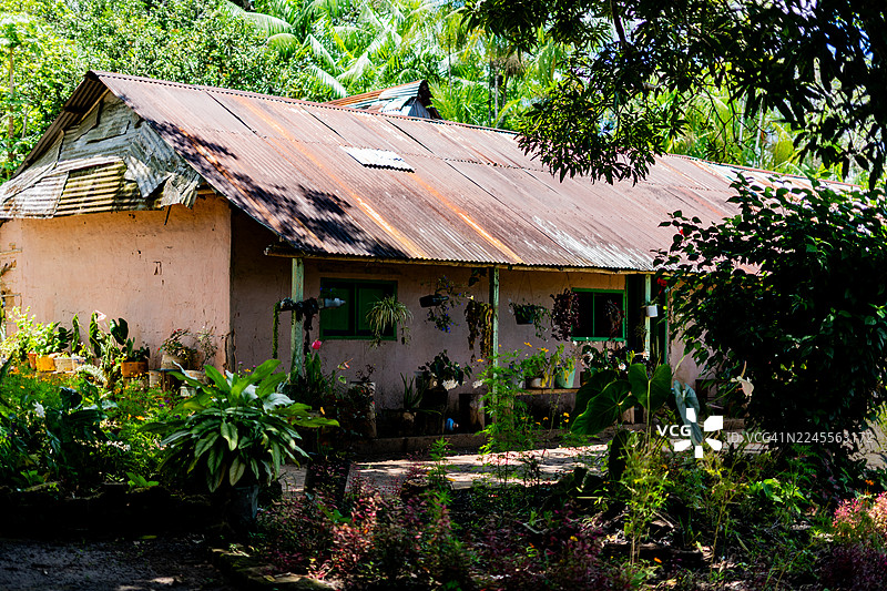 哥伦比亚瓜伊尼亚热带村庄的传统房屋图片素材