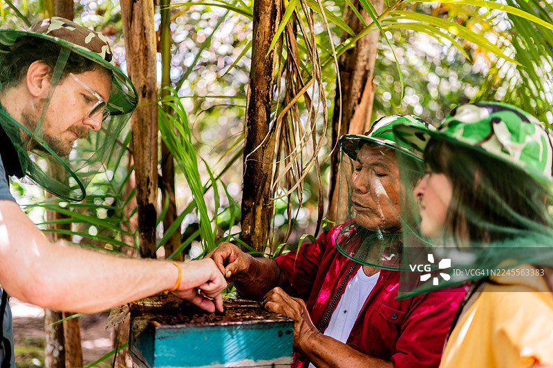 亚马逊雨林中，一位原住民男子向游客讲述养蜂知识图片素材