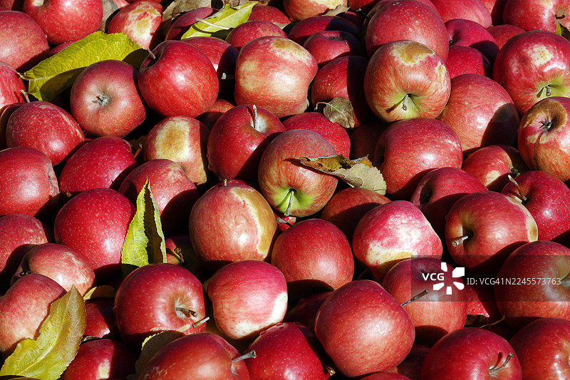 一箱苹果图片素材