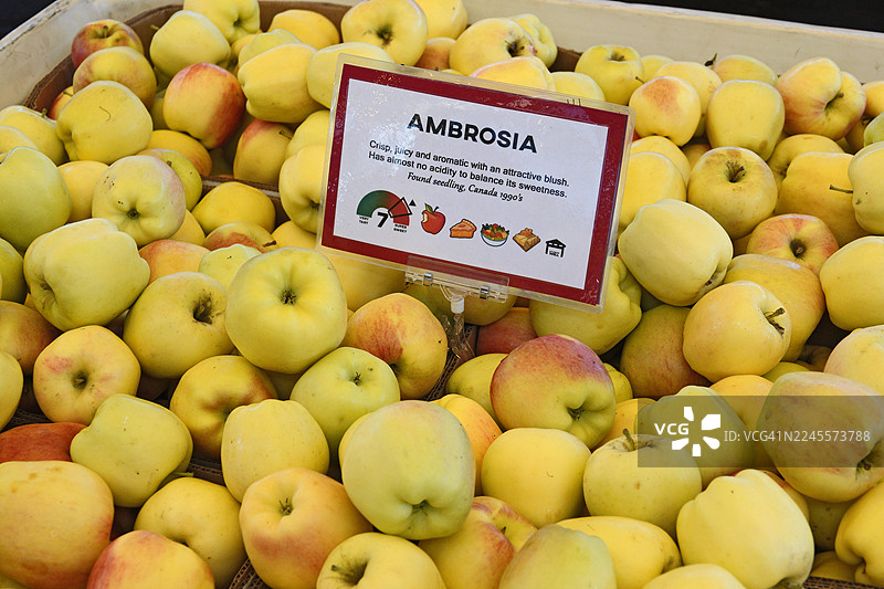 一箱箱的苹果图片素材