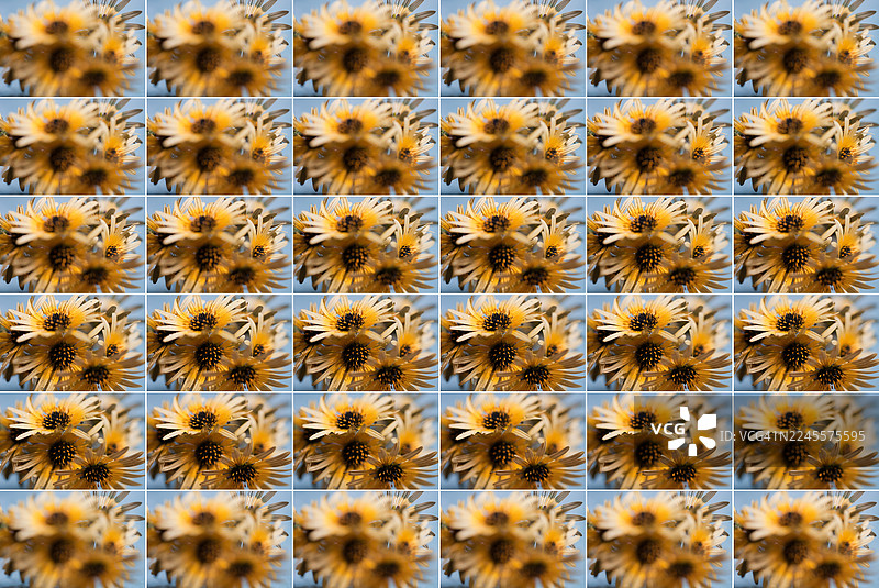 选择你的焦点图片素材