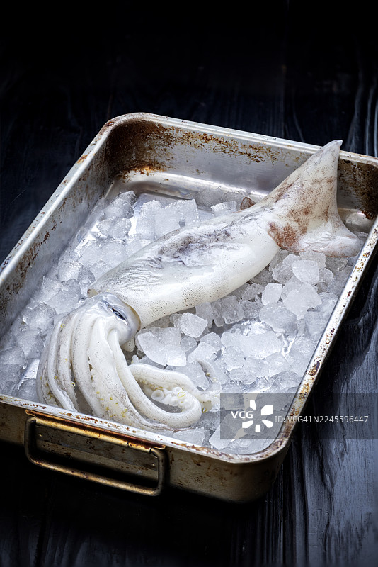 金属托盘上的新鲜生鱿鱼配冰图片素材