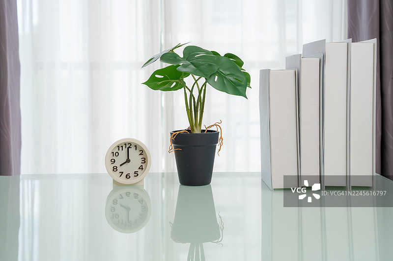 家里的装饰摆放在桌子上。客厅的室内设计，木架上放着闹钟和漂亮的盆栽。极简房间里的书本和装饰品图片素材