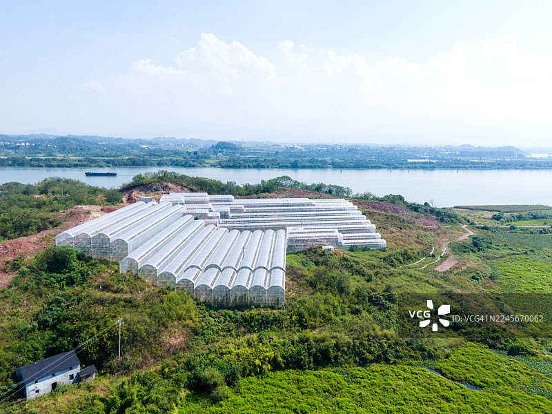 现代农业温室种植图片素材
