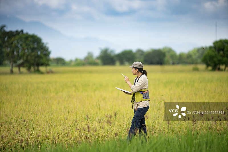 亚洲女性农业研究员在乡村田野里边有山背景的情况下记录笔记图片素材