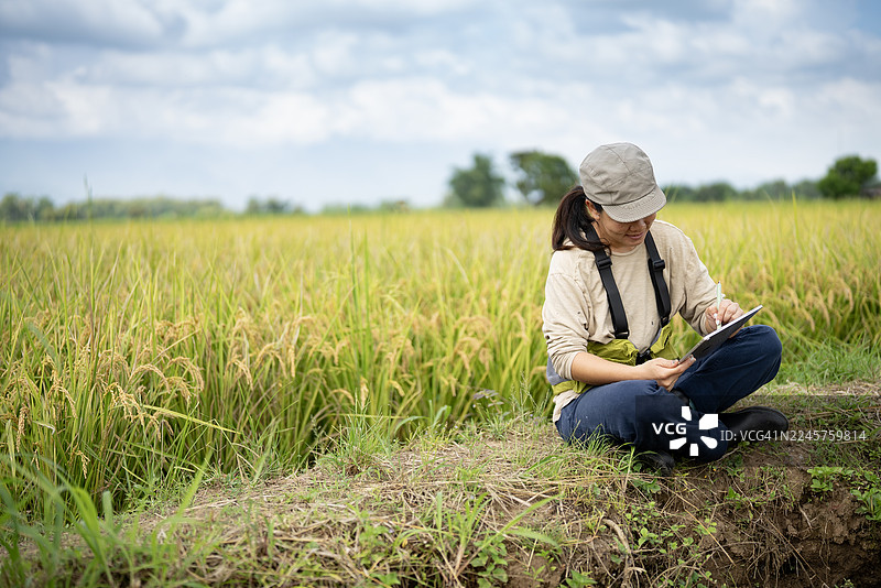 亚洲女性农业研究员在乡间稻田里写笔记，背景有山图片素材