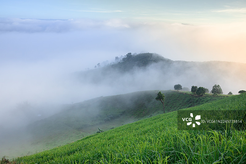 清晨，翠绿的山峦笼罩在淡淡的薄雾中图片素材