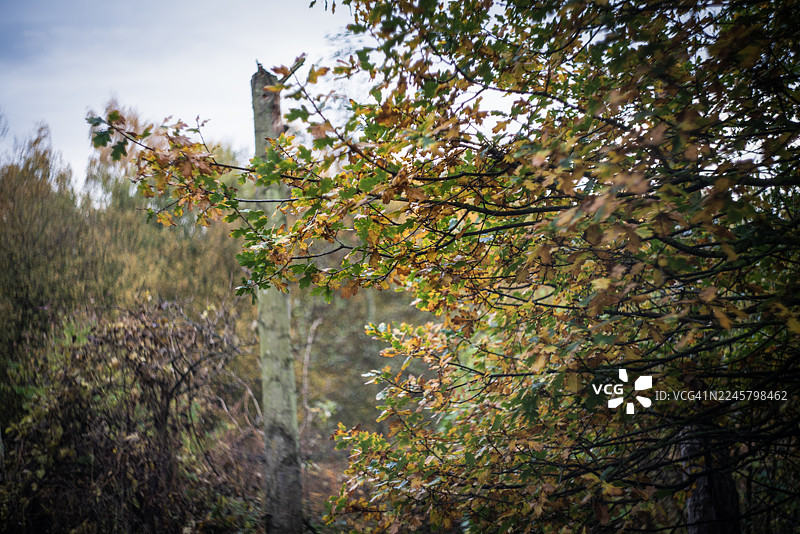 秋天的自然色彩图片素材