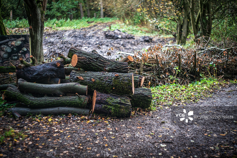 木材堆图片素材