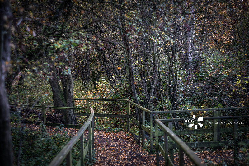 秋天的自然色彩图片素材