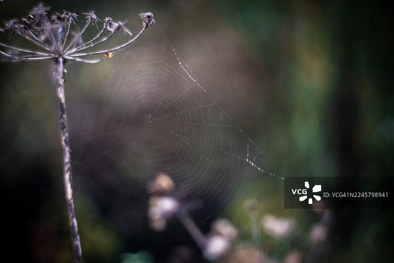 秋天的自然色彩图片素材