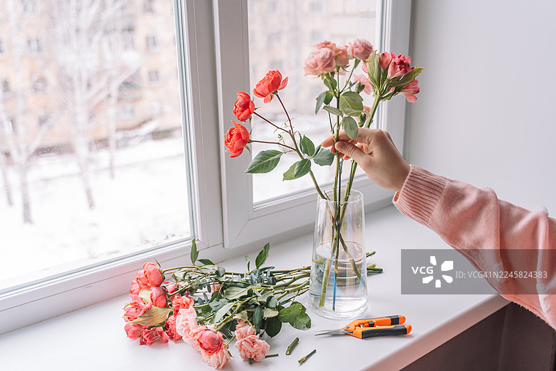 女子在窗台上用修枝剪摆弄玻璃花瓶里的玫瑰花图片素材