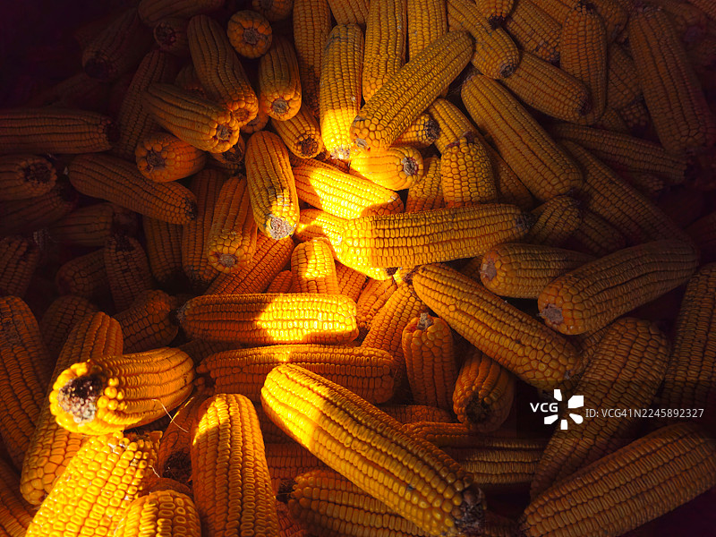 阳光透过高架粮仓的门照射进来。图片素材