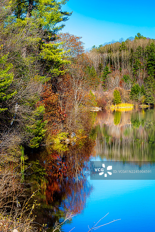 加拿大魁北克省加蒂诺公园的韦克菲尔德村，秋季色彩斑斓。图片素材
