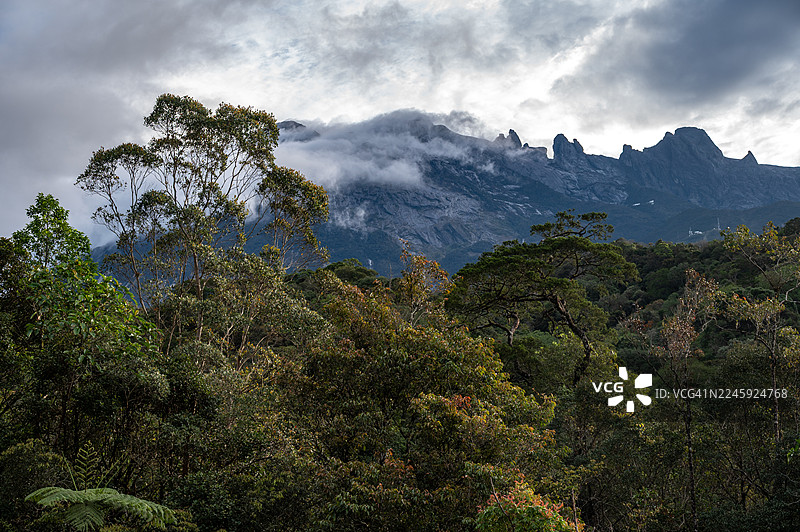从马来西亚婆罗洲沙巴州西海岸的京那巴鲁国家公园看到的马来西亚最高峰——京那巴鲁山。图片素材