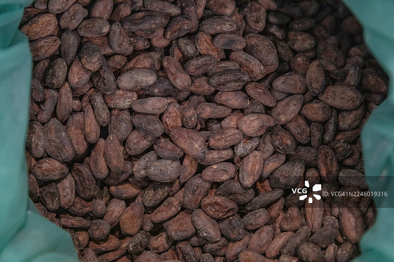 一堆可可豆图片素材