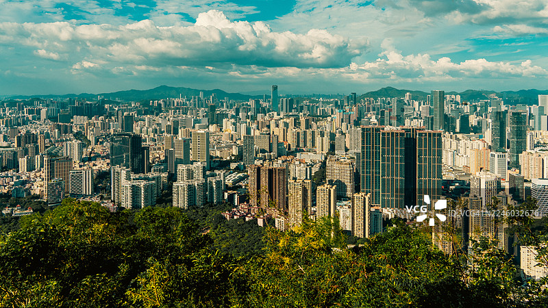 全景：现代城市，高耸的摩天大楼，多云的蓝天，郁郁葱葱的绿树环绕，深圳，中国图片素材