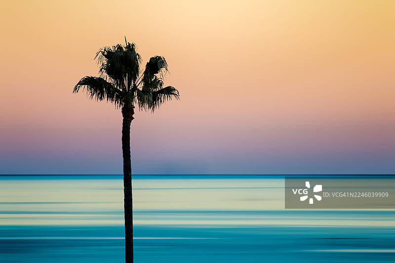 法国昂蒂布，海洋上空生机勃勃的日落天空下棕榈树的剪影，水面模糊图片素材