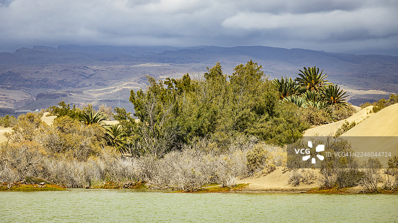 西班牙马斯帕洛马斯查卡散步道的沙漠风光，有沙丘、葱郁的植被、宁静的湖泊和远处的山脉，天空布满云彩图片素材