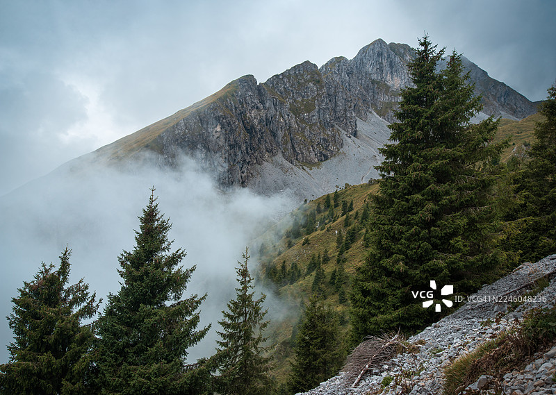 低角度拍摄，雄伟的山脉笼罩在薄雾和云层中，前景是常绿树，营造出戏剧性和宁静的自然景观，意大利科洛雷，普雷索拉纳山口图片素材