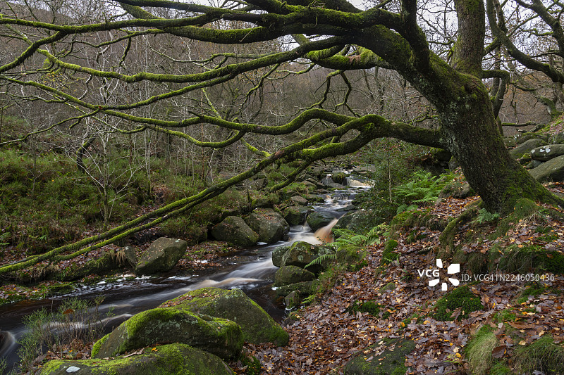 英格兰德比郡朗登代尔米德尔布莱克克劳图片素材