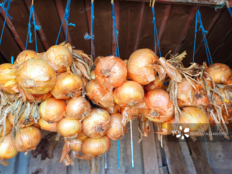 挂着的洋葱图片素材