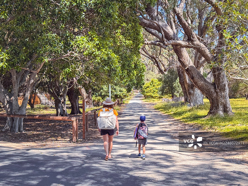 两人背着背包沿着珀斯公园的林荫小路行走图片素材