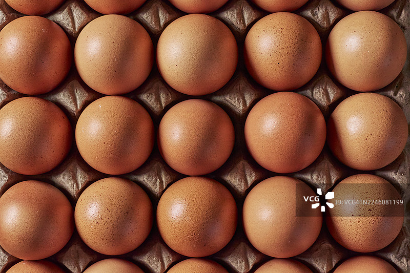 棕色鸡蛋在纸质蛋盒里的特写图片素材