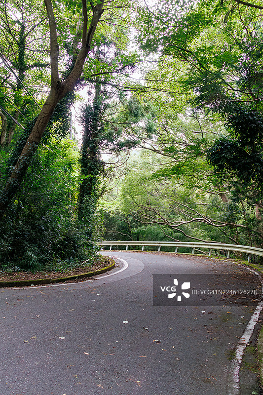 南伊豆的层云峡线山道。一条崎岖的山路蜿蜒穿过茂密葱郁的森林，全长约10公里。沿途有小神社和大型风力发电厂的设施。图片素材