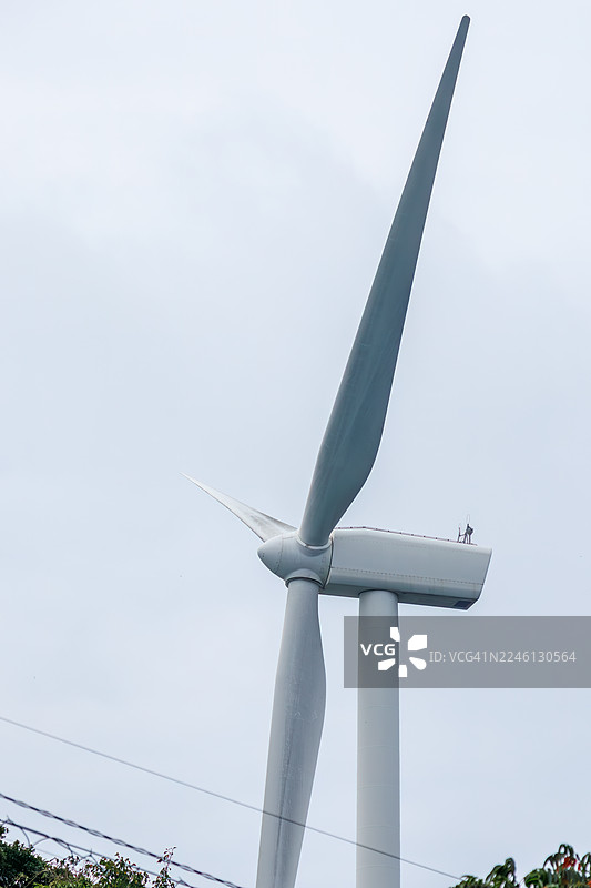 南伊豆的层云峡线山岳风景道。一条崎岖的山路穿过茂密葱郁的森林，绵延约10公里。沿途有小神社和大型风力发电站的设施。图片素材