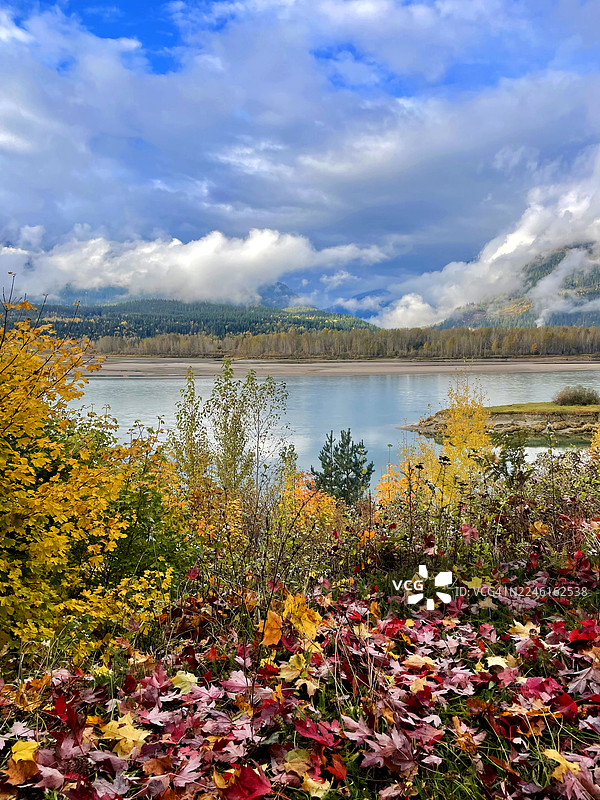 秋天的加拿大图片素材