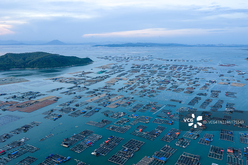黎明时分的海上水产养殖航拍，展示了广阔的海洋渔场。图片素材