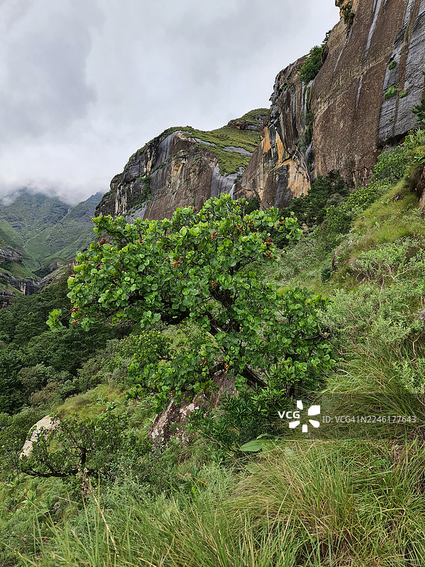 德拉肯斯堡山脉 77图片素材
