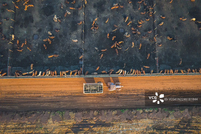 航拍农场，牲畜圈养，泥土路旁停放着农用机械图片素材