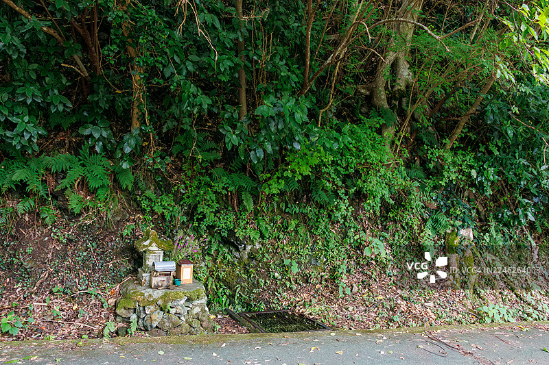 南伊豆的山岳道路、层云峡。崎岖的山路穿过茂密葱郁的森林,绵延约10公里。沿途有小神社和大型风力发电站的设施。图片素材