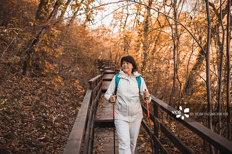 身着运动服的女性在秋季森林的木栈道上进行北欧式健走，展现户外健身与自然风光图片素材