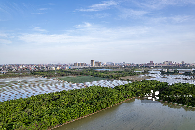 俯瞰现代农田灌溉用水和绿色作物图片素材