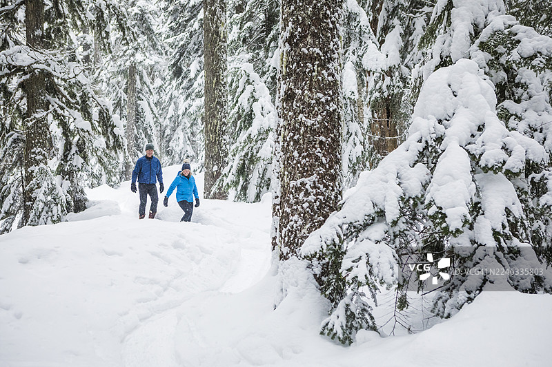 年长夫妇在惠斯勒的深雪森林中穿雪鞋徒步图片素材
