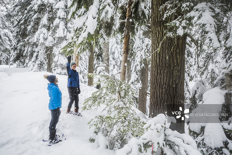 成熟的夫妇在惠斯勒的深雪森林中穿着雪鞋徒步图片素材