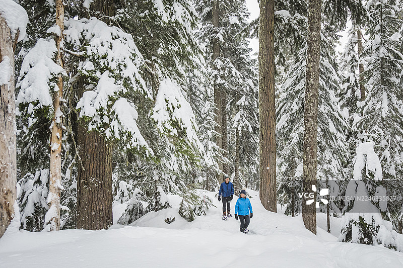 成熟夫妇在惠斯勒的深雪森林中穿雪鞋图片素材