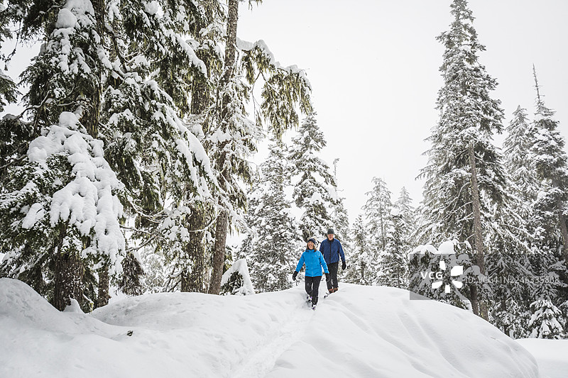 成熟夫妇在惠斯勒的深雪森林中穿雪鞋行走图片素材