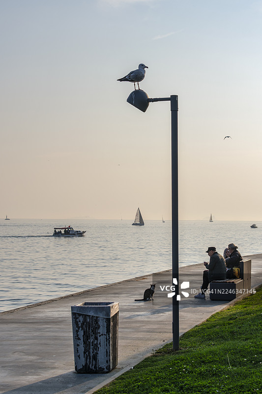 在土耳其伊斯坦布尔马尔马拉海边的午后漫步图片素材