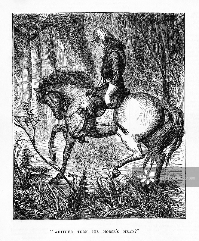 独自骑马穿行在森林中的骑手图片素材