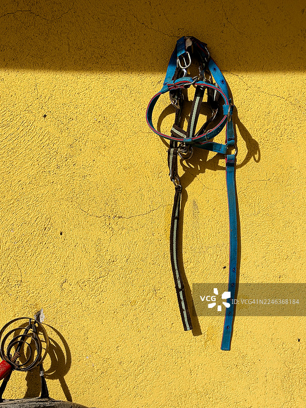 马厩墙上展示的蓝色马具和挽具。图片素材