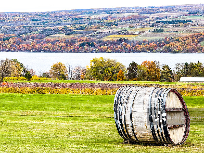一个大酒桶、葡萄藤和邓迪附近的塞内卡湖景观图片素材